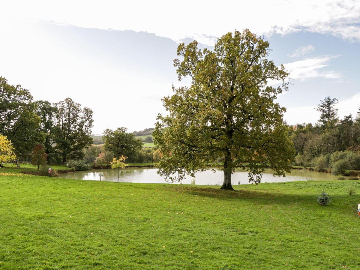 2 Oak Park Villa Tiverton  Eksteriør bilde